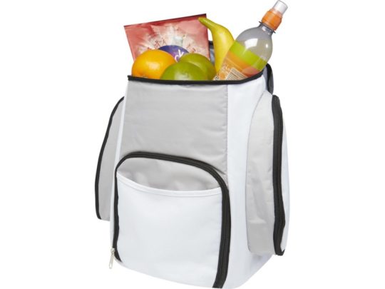 Brisbane, рюкзак-холодильник, серый/белый, арт. 024746003