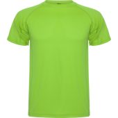 Спортивная футболка Montecarlo мужская, лаймовый (L), арт. 024932403