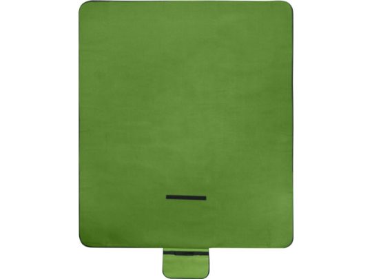 Покрывало для пикника Salvie из переработанной пластмассы пластика, зеленый, арт. 024753603