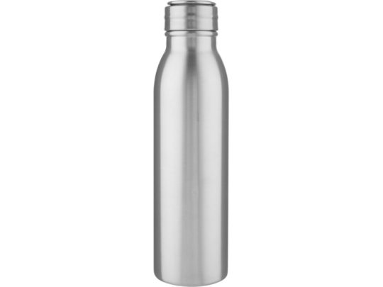 Harper, спортивная бутылка из нержавеющей стали объемом 700 мл с металлической петлей, серебристый, арт. 024740903