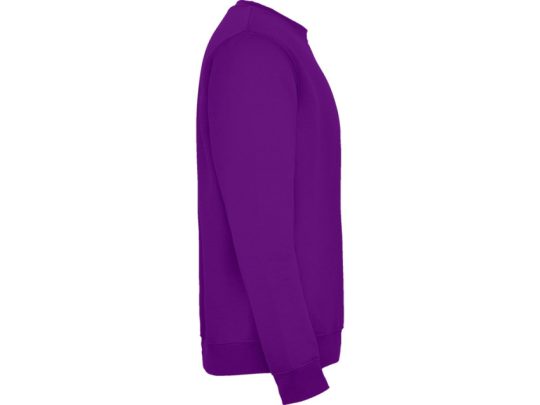 Свитшот с начесом Clasica унисекс, фиолетовый (XL), арт. 024898603