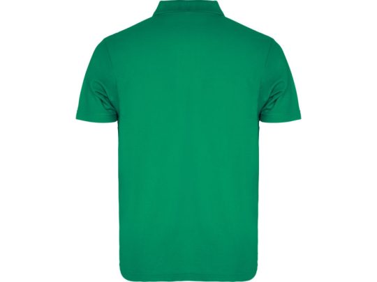 Рубашка поло Austral мужская, зеленый (M), арт. 024625703
