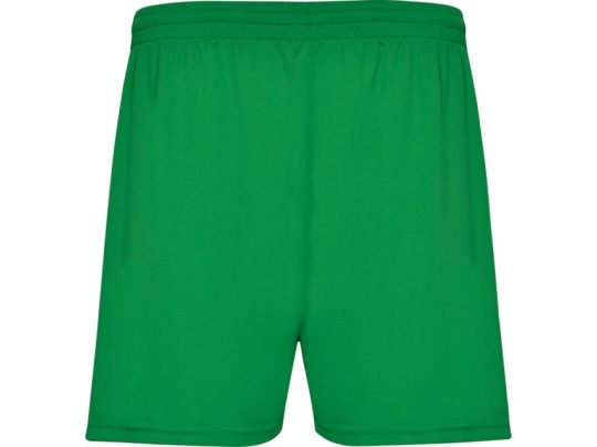 Спортивные шорты Calcio мужские, папоротниковый (2XL), арт. 025145603