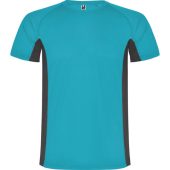 Спортивная футболка Shanghai мужская, бирюзовый/графитовый (L), арт. 024977403