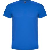 Спортивная футболка Detroit детская, королевский синий/светло-синий (16), арт. 024990303