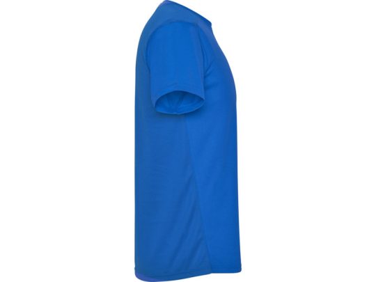 Спортивная футболка Detroit мужская, королевский синий/светло-синий (L), арт. 024987103