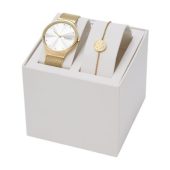 Подарочный набор: часы наручные мужские, браслет. Skagen, арт. 025030803
