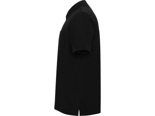 Рубашка поло Centauro Premium мужская, черный (L), арт. 025017003