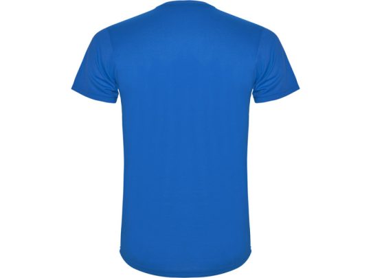 Спортивная футболка Detroit мужская, королевский синий/светло-синий (L), арт. 024987103