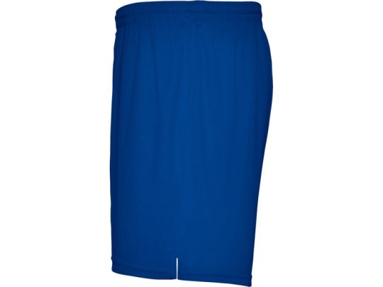 Спортивные шорты Player мужские, королевский синий (L), арт. 025141803