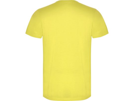 Футболка Akita мужская, неоновый желтый (S), арт. 025420403