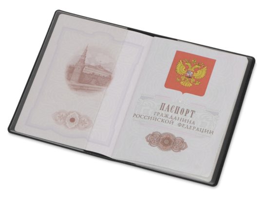 Классическая обложка для паспорта Favor, черная, арт. 025370903