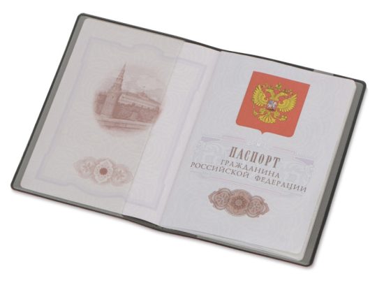 Классическая обложка для паспорта Favor, красная/серая, арт. 025371103