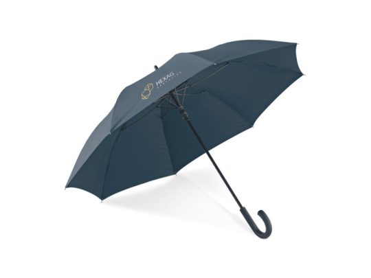 ALBERT. Зонт с автоматическим открытием, Синий, арт. 025615303
