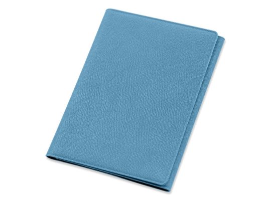 Обложка на магнитах для автодокументов и паспорта Favor, голубая, арт. 025953203