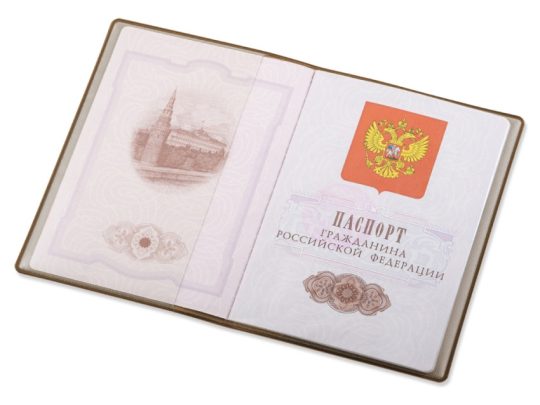 Классическая обложка для паспорта Favor, бежевая, арт. 025953903
