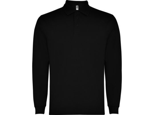 Рубашка поло Carpe мужская с длинным рукавом, черный (2XL), арт. 026107303