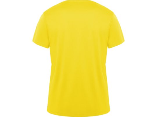 Футболка Daytona мужская, желтый (S), арт. 026085703