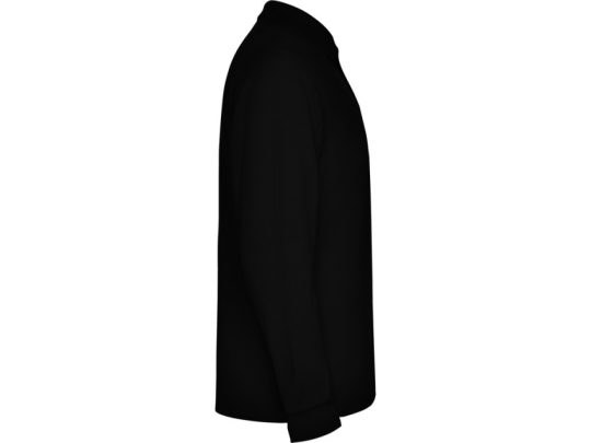 Рубашка поло Estrella мужская с длинным рукавом, черный (2XL), арт. 026123103