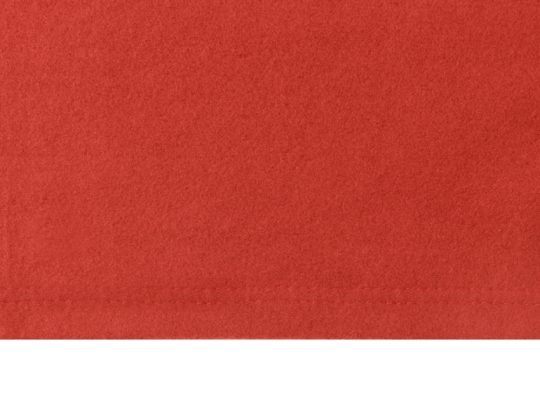 Плед для путешествий Flight в чехле с ручкой и карманом, красный, арт. 026302803