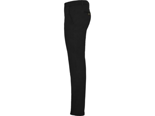 Мужские брюки Ritz, черный (50), арт. 026348403