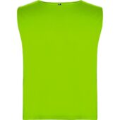 Спортивная безрукавка Ajax, неоновый зеленый (XL), арт. 027156803