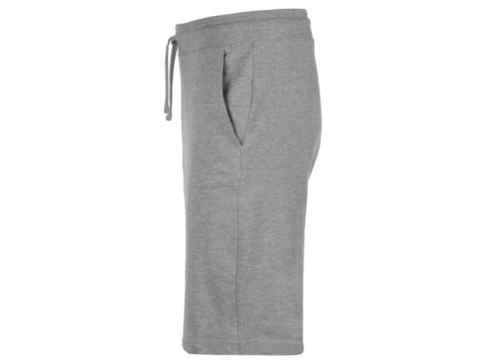 Мужские шорты из френч терри Warsaw 220гр, серый меланж (XL), арт. 027237503