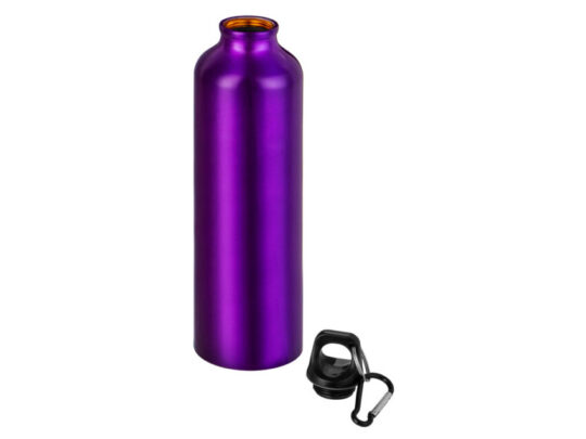 Бутылка Hip M с карабином, 770 мл, пурпурный, арт. 027422203