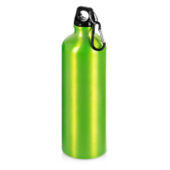 Бутылка Hip M с карабином, 770 мл, зеленый, арт. 027404103