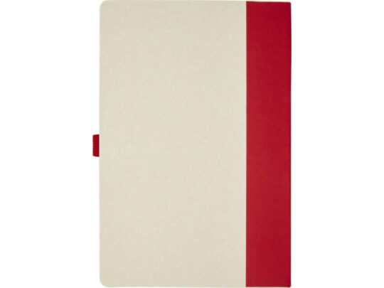 Блокнот размером A5 и шариковая ручка Dairy Dream, красный, арт. 027681003