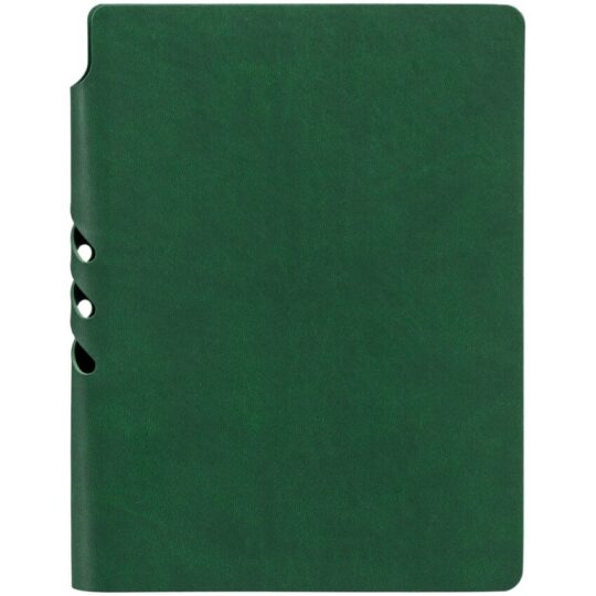 Ежедневник Flexpen Color, датированный, зеленый