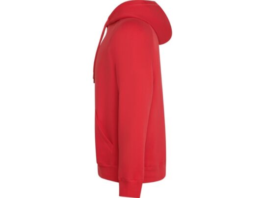 Толстовка с капюшоном Vinson, красный (XS), арт. 027759903