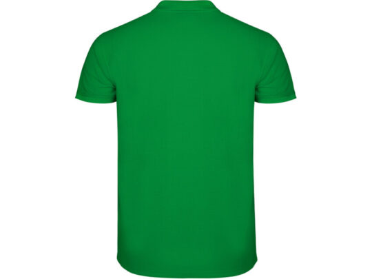 Рубашка поло Star мужская, светло-зеленый (L), арт. 027889103