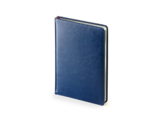 Ежедневник А5 датированный Sidney Nebraska 2024, синий (серебристый обрез), арт. 027882103
