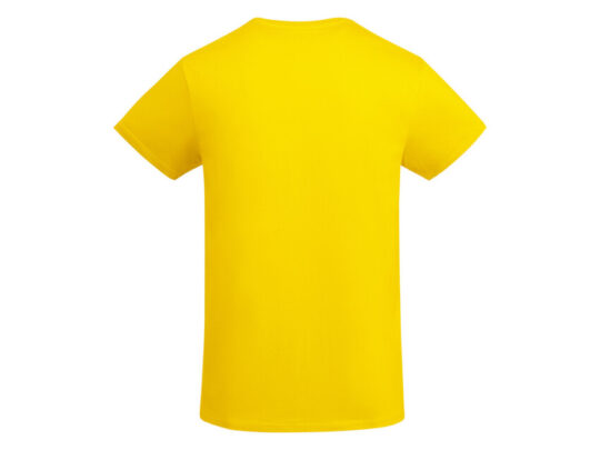 Футболка Breda мужская, желтый (M), арт. 028065403