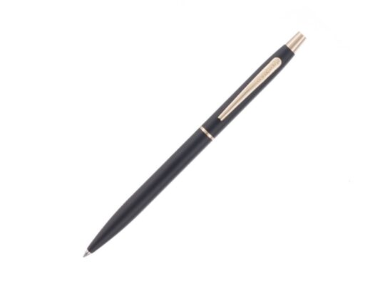 Ручка шариковая Pierre Cardin GAMME. Цвет — черный. Упаковка Е, арт. 028150003