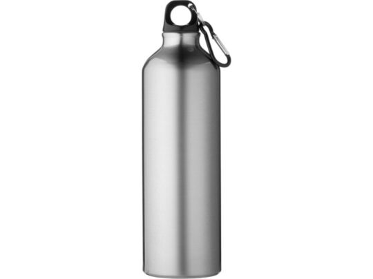 Бутылка для воды с карабином Oregon, объемом 770 мл, серебристый (770 мл), арт. 028273403