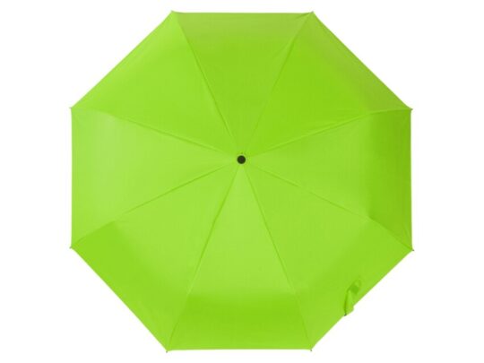 Зонт-автомат Dual с двухцветным куполом, зеленое яблоко/черный, арт. 028263703