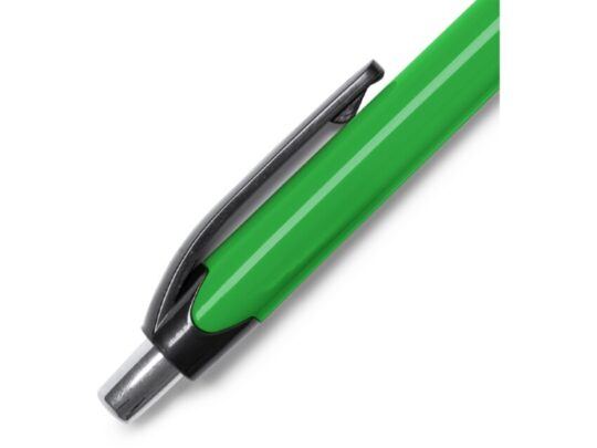 Ручка пластиковая шариковая DANTE, черный/папоротник, арт. 028451803