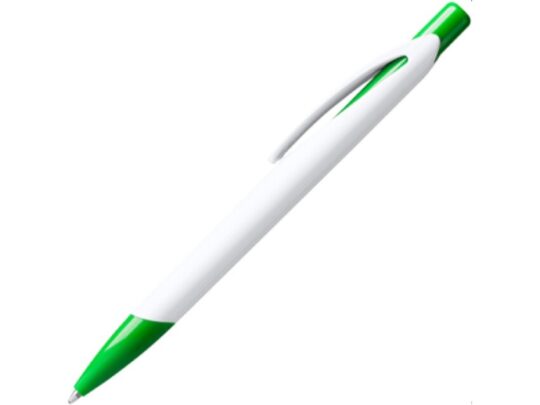 Ручка пластиковая шариковая CITIX, белый/папоротник, арт. 028452403