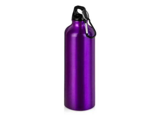 Бутылка Hip M с карабином, 770 мл, пурпурный (Р), арт. 028498403