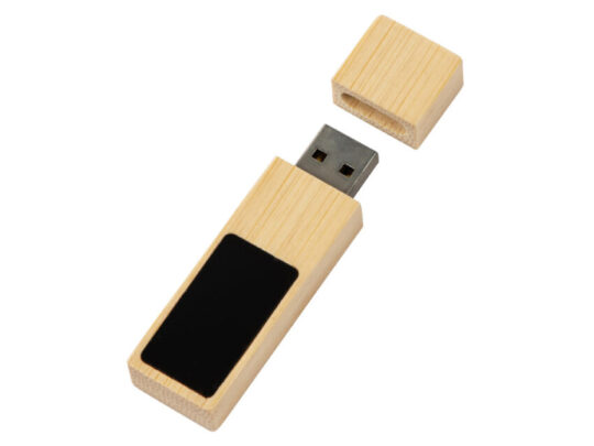 USB 2.0- флешка на 32 Гб c подсветкой логотипа Bamboo LED (32Gb), арт. 028559703