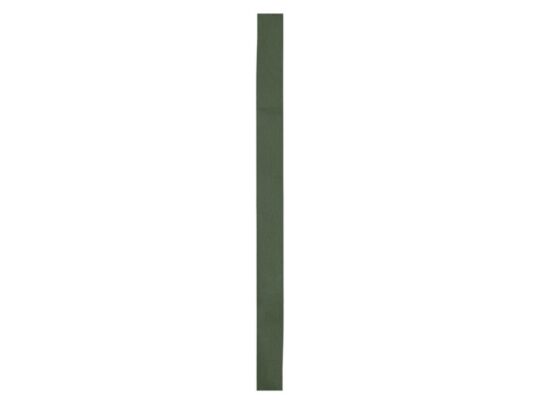 Лента для шляпы из нетканого материала COMET, хаки зеленый, арт. 028778803
