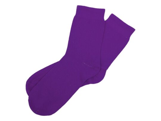 Носки Socks мужские фиолетовые, р-м 29 (41-44), арт. 028757003