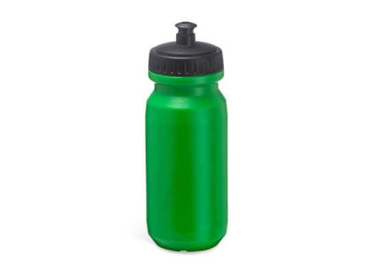 Спортивная бутылка BIKING из полиэтилена, папоротниковый, арт. 028721903