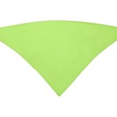 Шейный платок FESTERO треугольной формы, зеленое яблоко, арт. 028903403
