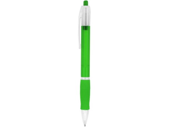 Ручка пластиковая шариковая ONTARIO, папоротник, арт. 028836103
