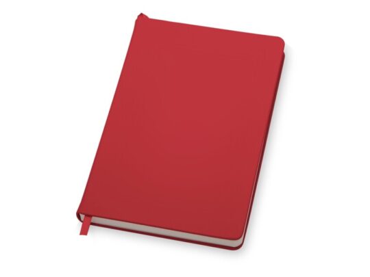 Бизнес-блокнот С3 софт-тач с магнитом, твердая обложка, 128 листов, красный, арт. 028945703