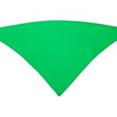 Шейный платок FESTERO треугольной формы, ярко-зеленый, арт. 028902703