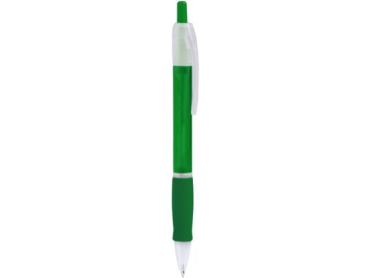 Ручка пластиковая шариковая ONTARIO, папоротник, арт. 028836103